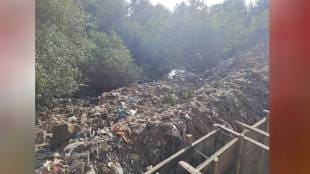 Construction of sewer in mangrove area filling of soil in mangrove forest Environmentalists anger