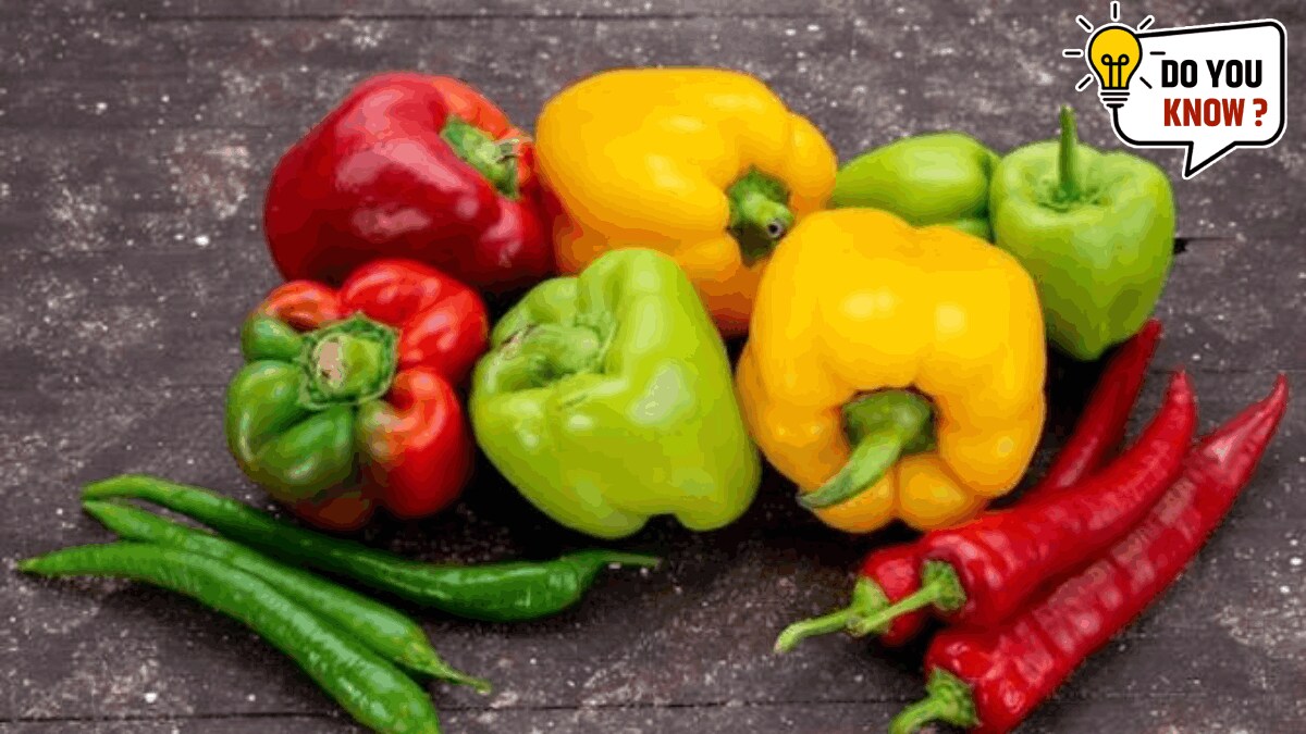 Shimla mirchi origin capsicum is from which country know details