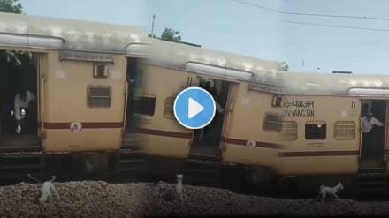 man throwing dog from a moving train shocking video