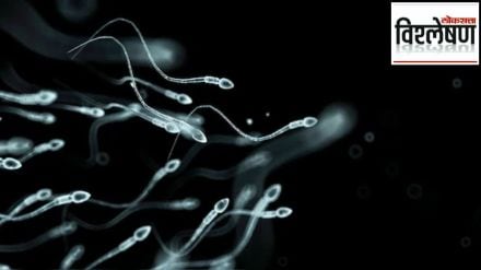 sperm racing united states