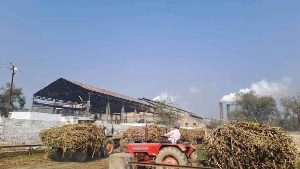Confiscation notices issued to ten sugar factories in Solapur for defaulting on sugarcane payments
