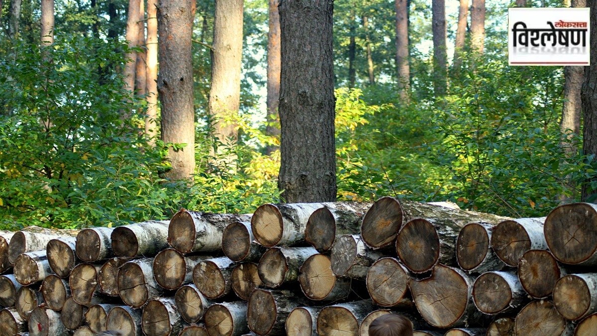 deforestation , agriculture, Indonesia , forests ,