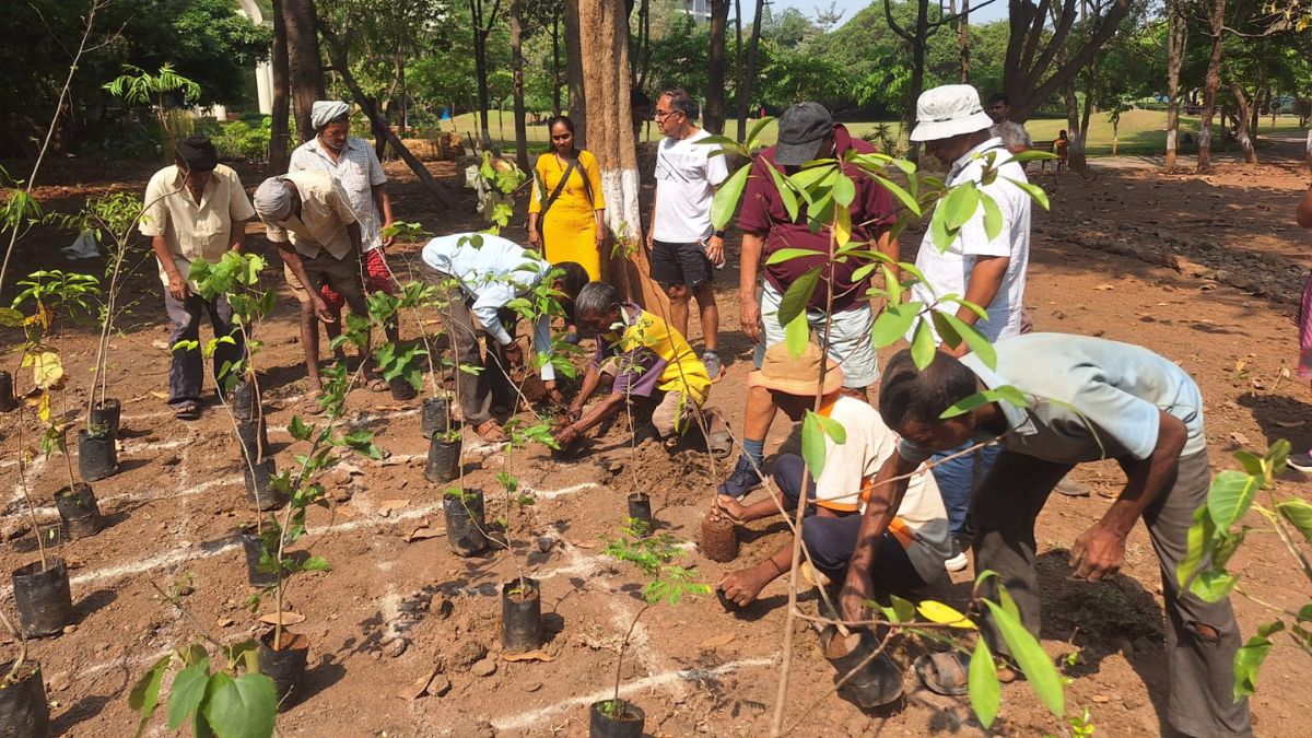 2 thousand saplings planted in Powai for environmental balance