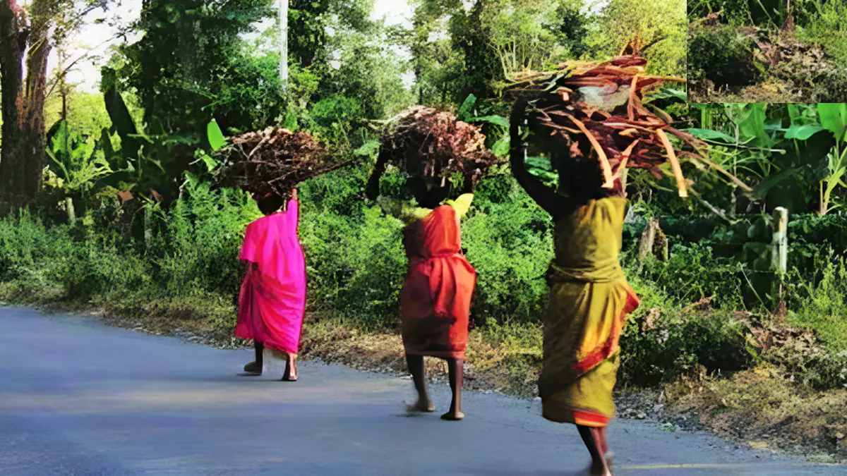 tribal community health issues in Maharashtra
