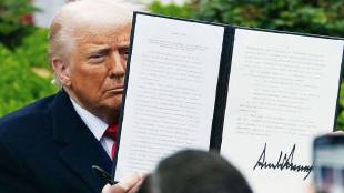 doland trump
