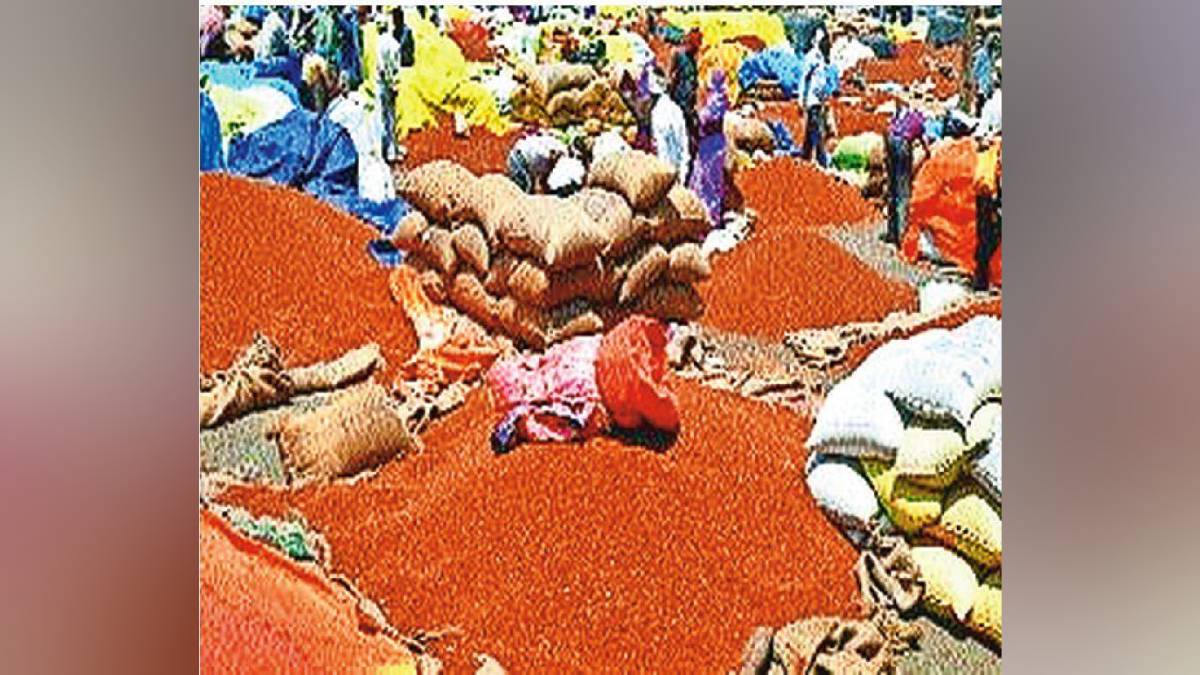 Farmers backs towards central government tur dal purchase