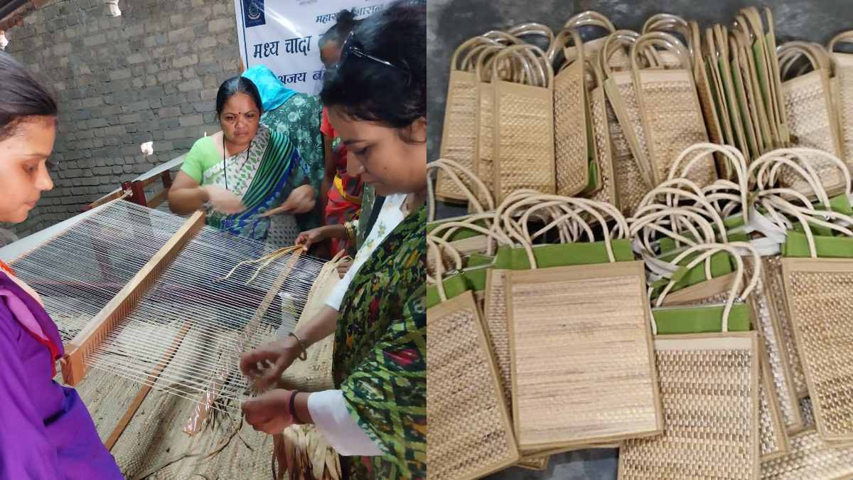 water hyacinth harvesting jobs for women