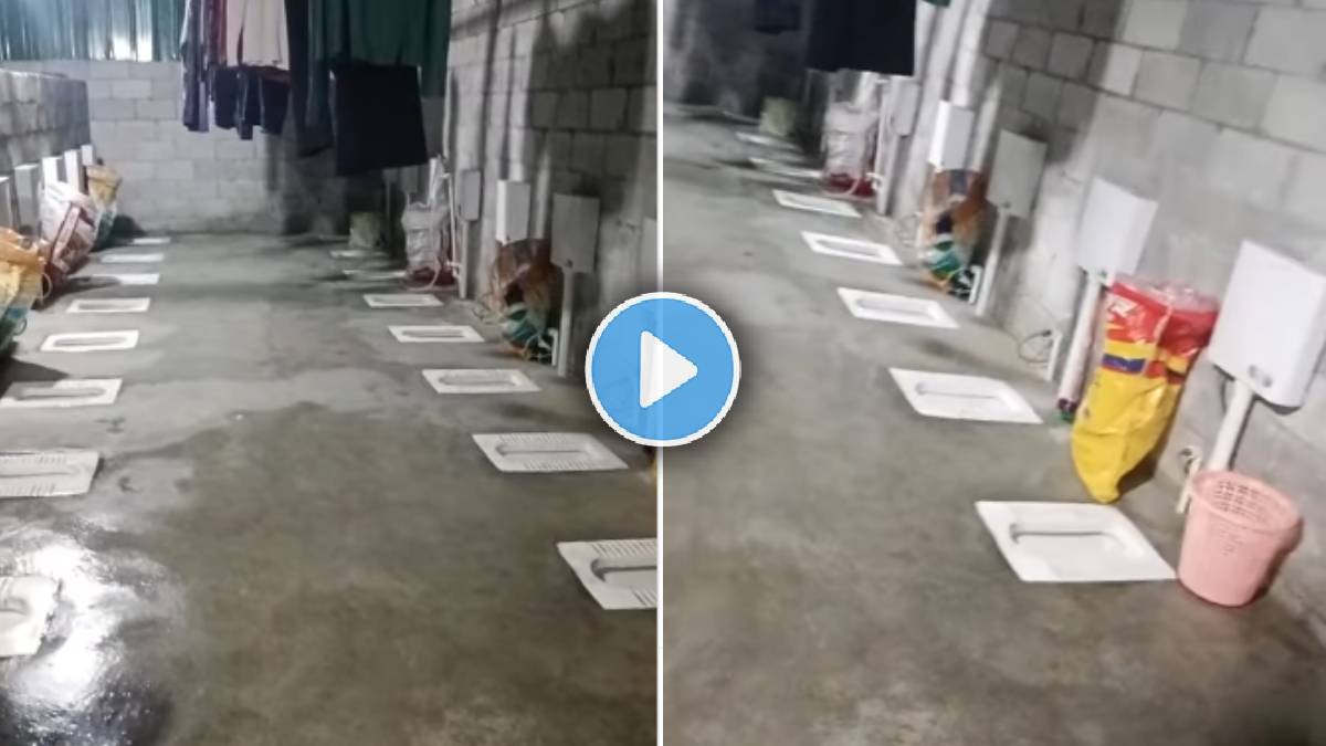 unique public toilet video