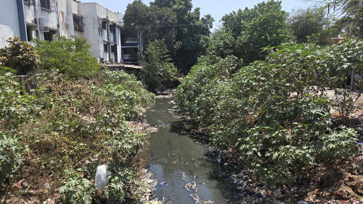 District Collector directs to take measures to control water pollution in Tarapur area