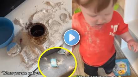 child eats grandfather ashes