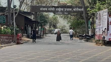 Forest Department begins survey of encroachments in Yeur thane news