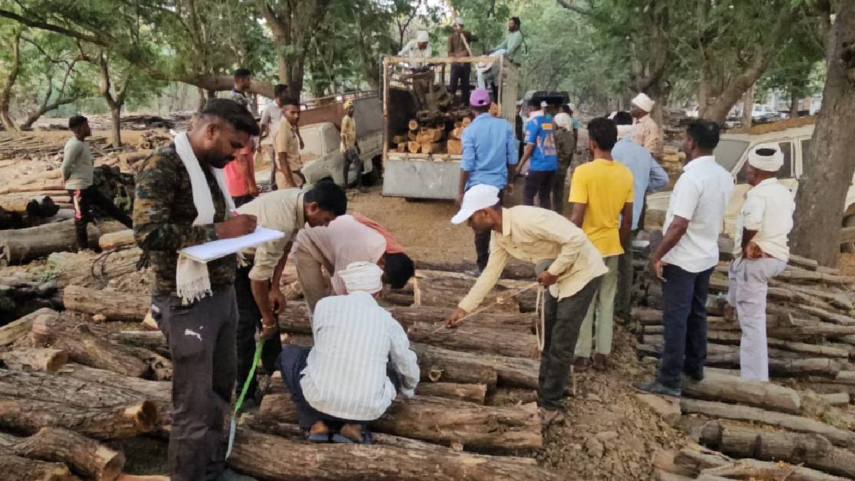 Forest guards and officers injured in attack by timber smugglers in Nandurbar district police have arrested four suspects