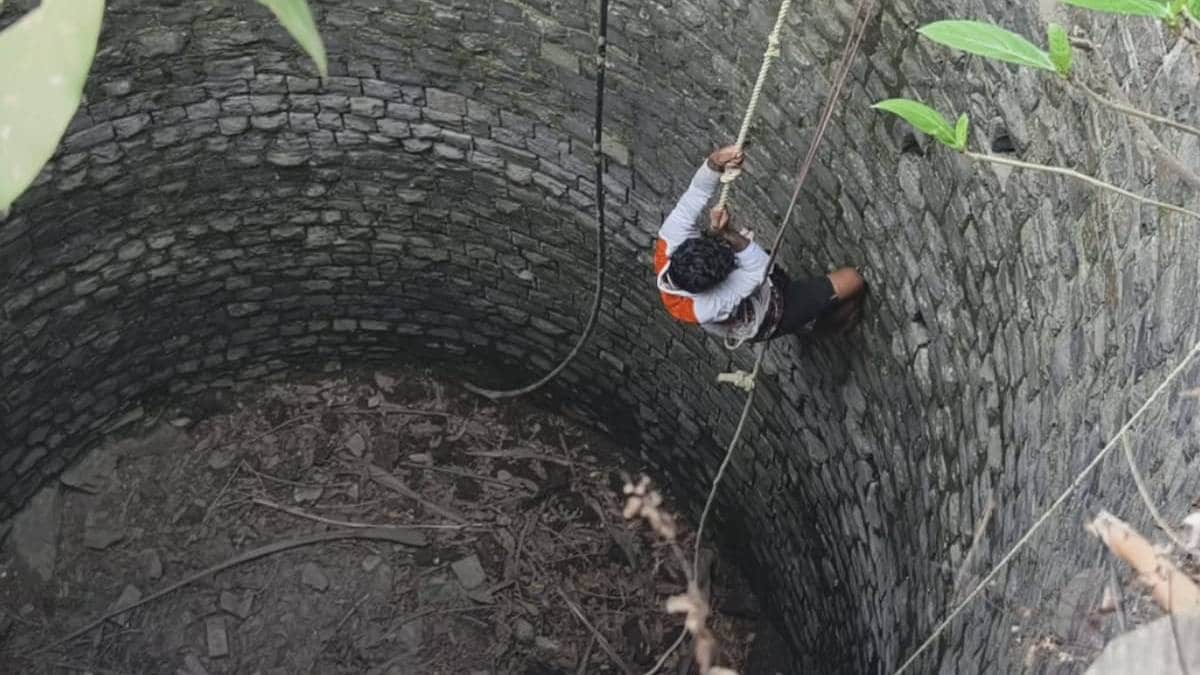Two kittens trapped in a well in Palghar Kasa have been successfully rescued