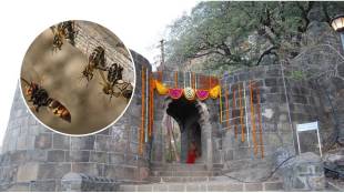 Sixteen tourists, including five children, were injured in a bee attack at Shivneri Fort