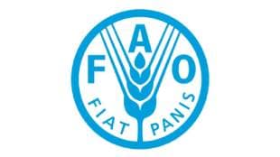 The Food and Agriculture Organization of the United Nations FAO has set up a study group in market committees across the country
