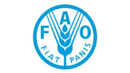 The Food and Agriculture Organization of the United Nations FAO has set up a study group in market committees across the country