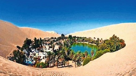 Oasis , desert regions, fascinating , amazing ,