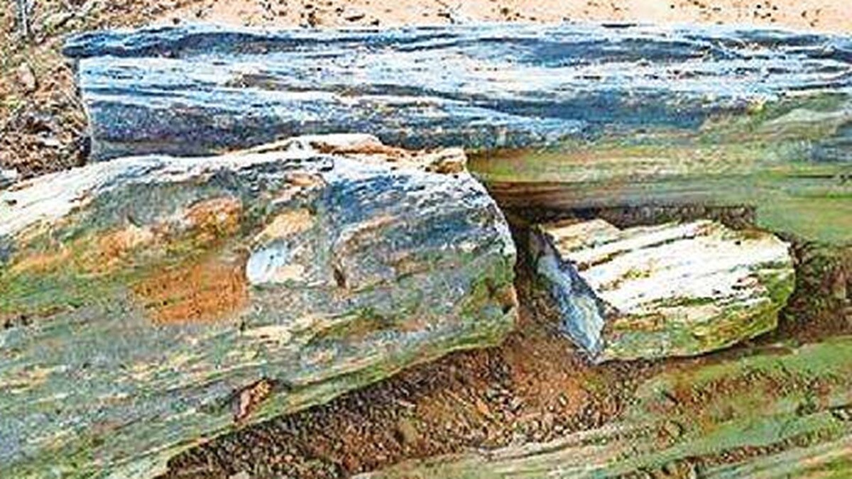 Fossils , rocks , Maharashtra , Telangana , border,