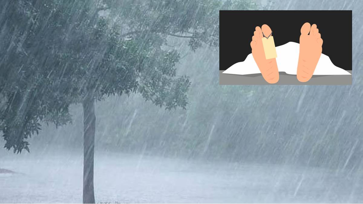 27 people have died and 392 animals have been killed in Marathwada due to the torrential rains