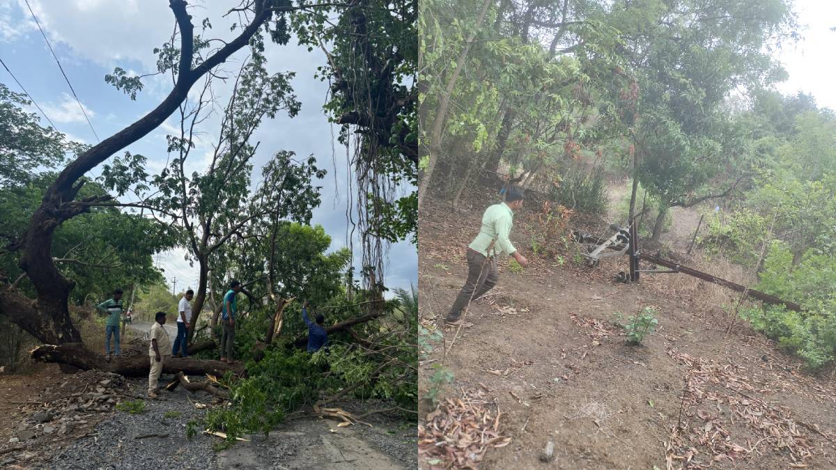 70 electricity poles fell due to storm in Kalyan Badlapur areas
