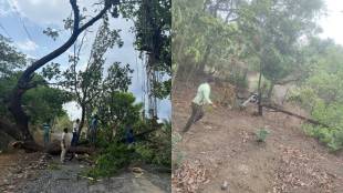 70 electricity poles fell due to storm in Kalyan Badlapur areas