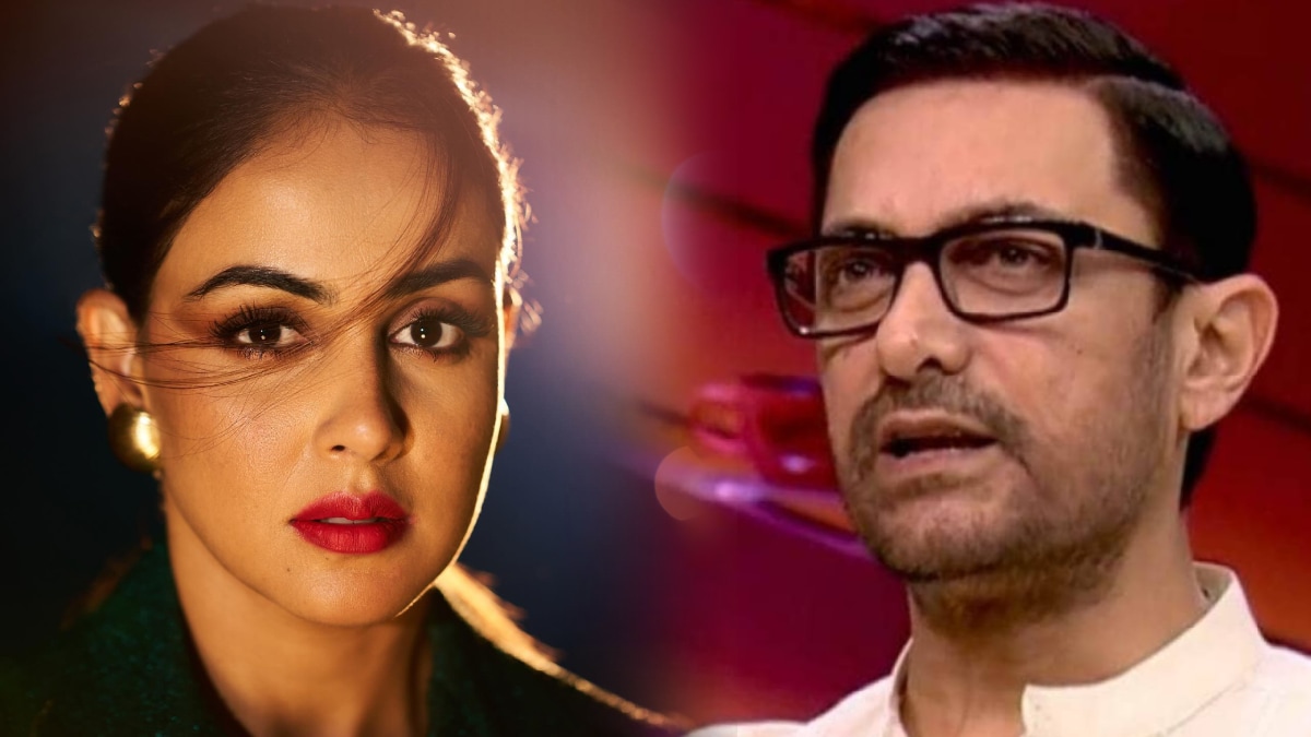 Aamir Khan rejected idea of Genelia Deshmukh and Imran Khan Jaane Tu Ya Jaane Na movie sequel