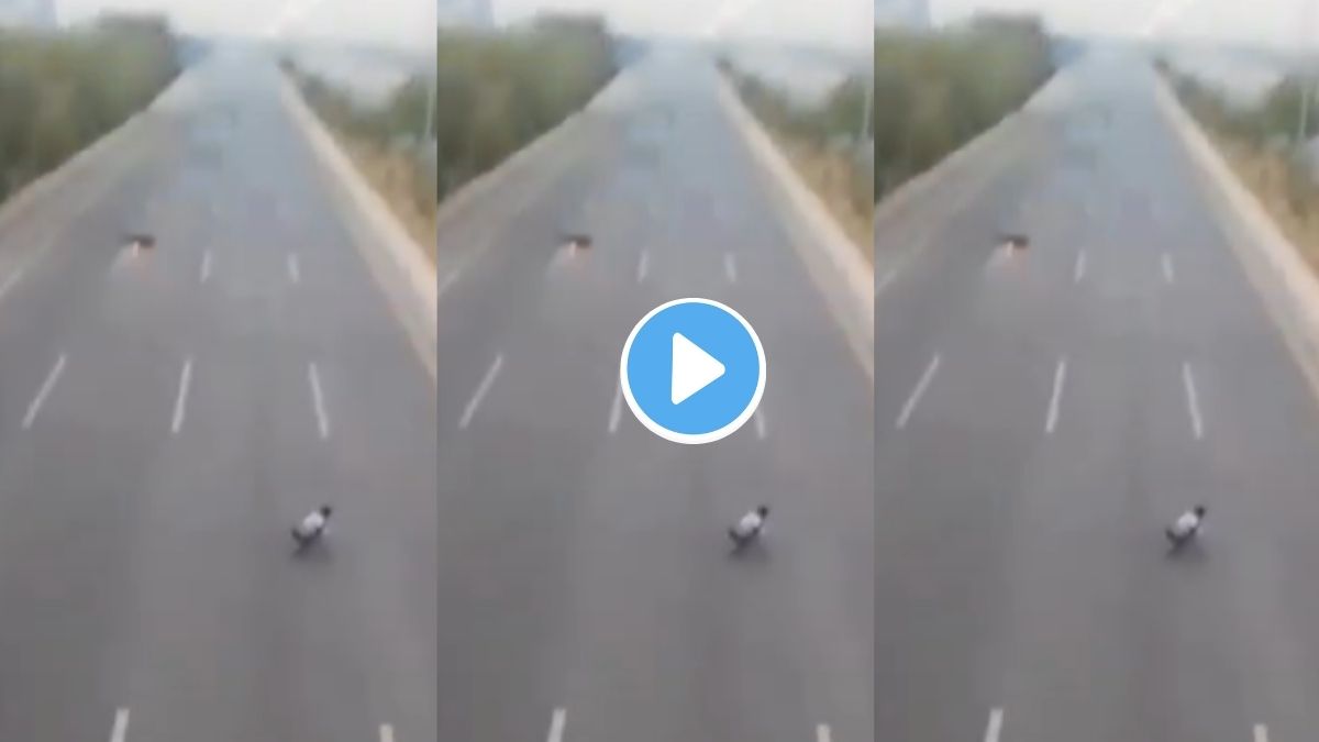 Viral Bike Stunt