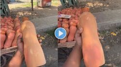 Video : उन्हाळ्यात थंड पाण्यासाठी कोल्हापूरकरांनी शोधला जुगाड, ही मातीची बाटली पाहिली का? व्हिडीओ होतोय व्हायरल