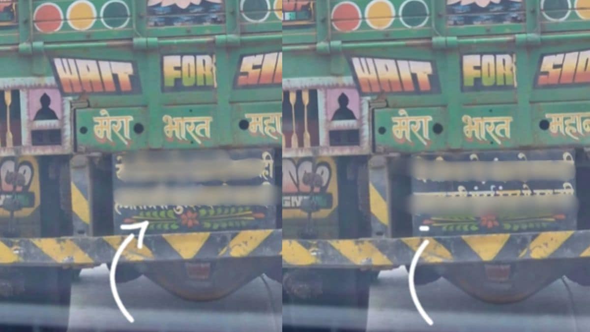viral pati on a truck