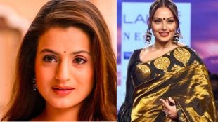 Amesha Patel breaks silence on controversial catfights in Bollywood