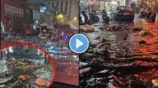 mumbai rain Andheri subway viral video