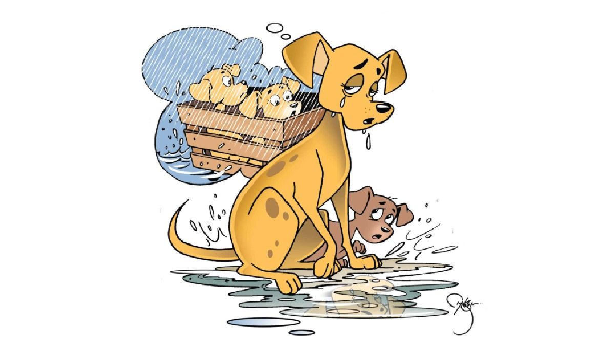 emotional dog story heavy rain marathi lokrang