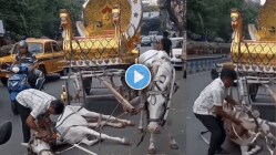 “हे खूप क्रूर आहे!” उष्माघाताने भररस्त्यात कोसळला घोडा, निर्दयी मालकाने त्याला मारलं अन् जबरदस्तीने…Viral Video पाहून नेटकरी संतापले