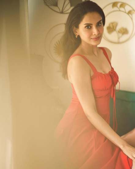 Dissha Pardeshi Red Dress Look