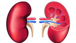 He successfully underwent a kidney transplant surgery and the treatment was made possible at a very low cost with the help of government schemes and social organizations