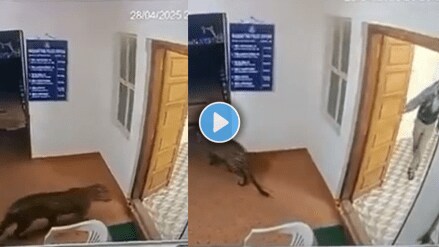 Leopard pays unexpected visit to Tamil Nadu police station