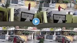 आधी साडीचा ओढला पदर, मग ढकलले जमिनीवर अन्…. तीन माकडांचा वृद्ध महिलेवर हल्ला; VIDEO पाहून अंगावर येईल काटा