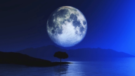 Moon Zodiac Signs