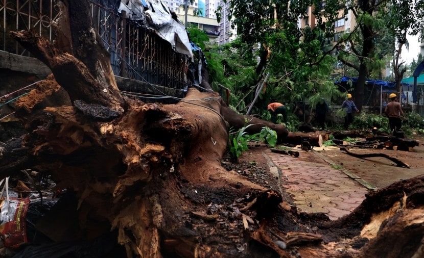 yesterday's heavy rainfall and near-deluge, municipal authorities are now actively engaged in a significant clean-up operation