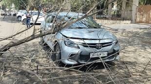 Nashik Heavy rain accompanied by gale force winds for the third consecutive day uprooted trees in many areas