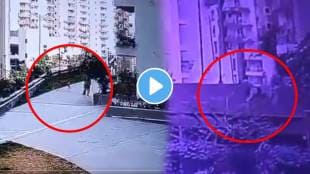 Terrifying Video: Woman Falls 20 ft Down From Passageway In G-Noida West Society Trying To Escape Pet Dog Attack