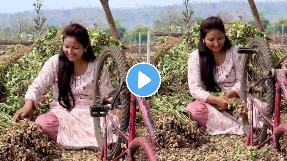 viral bhuimug seeds farming jugaad video viral farmer jugad video