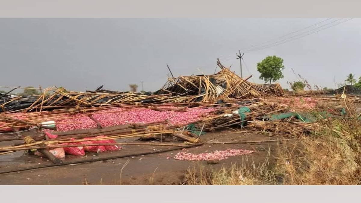 nashik nine days of rain hail and wind damaged 4240 hectares of crops in the district