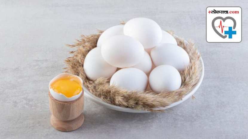 Too much protein harmful to health