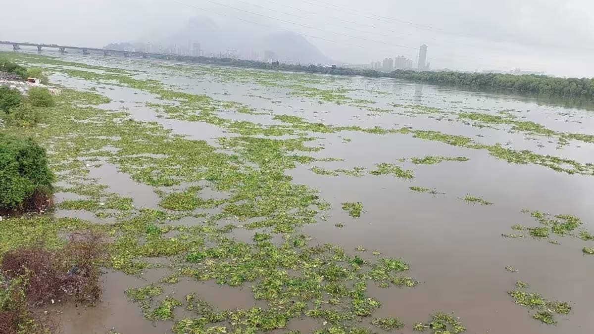 Sewage mixed , river , Pollution Control Board,