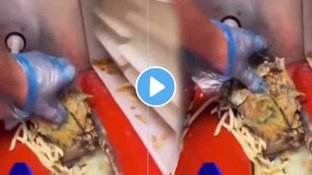 Mcdonald's making unhygienic process French fries making shocking video goes viral on social media