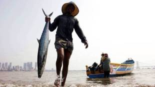 fifth national marine fishermen census begins in november via mobile app under PM Matsya Yojana