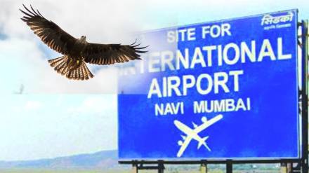 navi mumbai airport meat selling