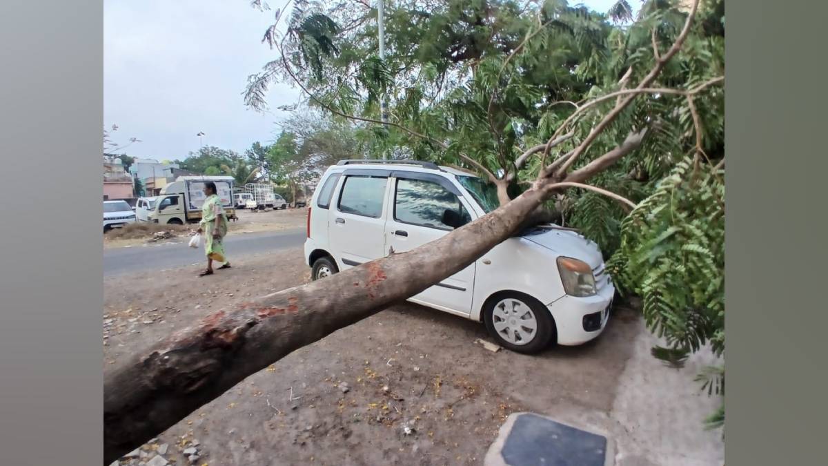 Strong winds and rain uprooted trees damaged homes and hit an anganwadi in Surgana