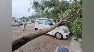 Strong winds and rain uprooted trees damaged homes and hit an anganwadi in Surgana
